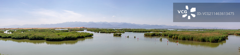 宁夏石嘴山沙湖旅游景区芦苇湿地风光图片素材