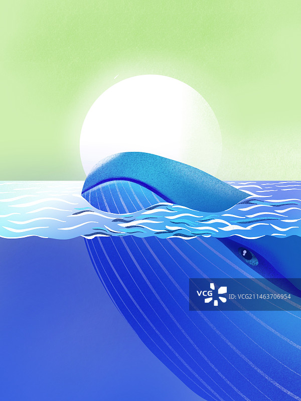 海洋里的鲸鱼图片素材