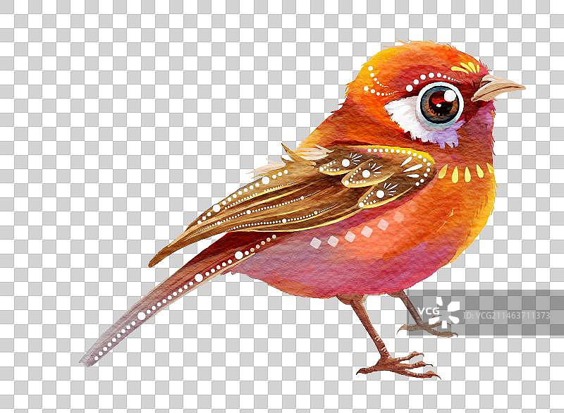 水彩红色鸟带斑点图片素材