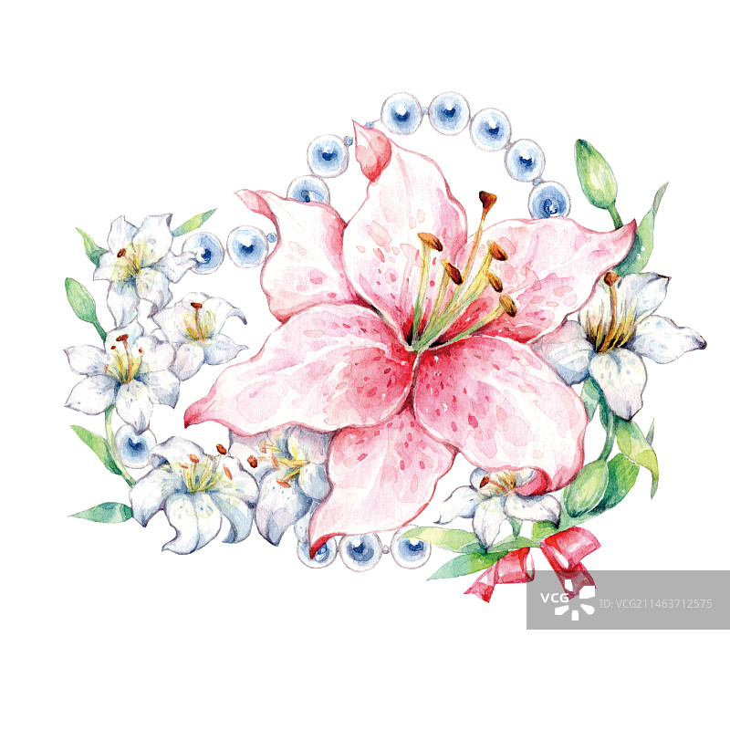 白色背景下粉红色百合花花朵的特写镜头图片素材