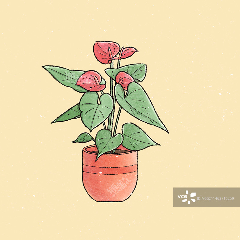 植物图片素材