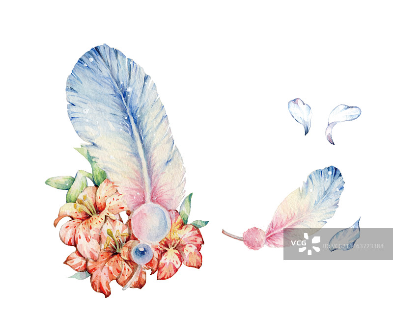 白色背景上水彩手绘复古石蒜科橙红色朱顶红萱草百合科香水百合花朵特写镜头图片素材