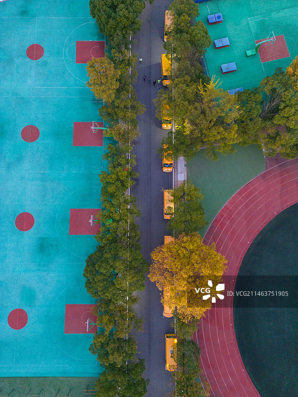 航拍秋日校园内道路上停放等待学生的校车图片素材