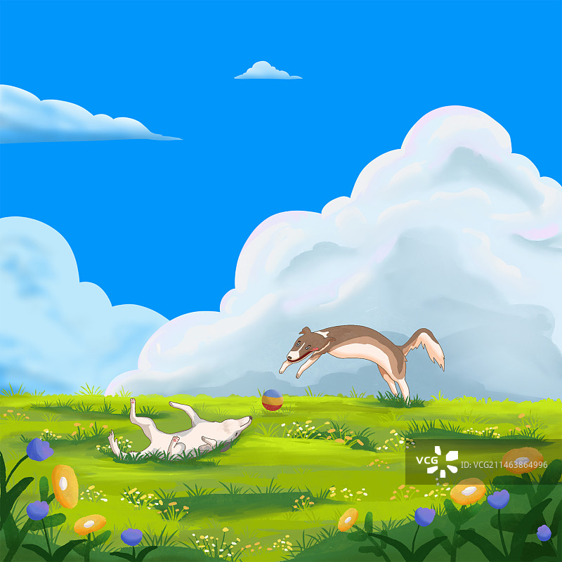 狗狗嬉戏图片素材