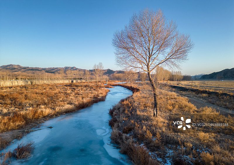 冬日冰河孤树图片素材