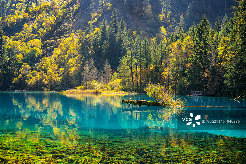 四川九寨沟秋日绝美五花海图片素材