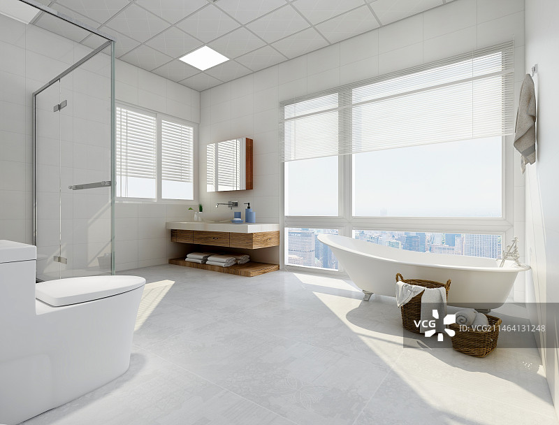 带有浴缸、马桶、洗手台的宽敞明亮的现代浴室设计图片素材