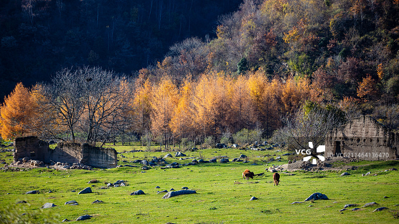 留坝狮子沟牧场秋景图片素材
