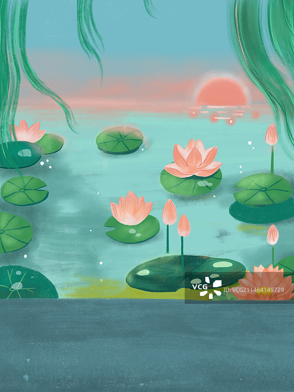 荷花池图片素材