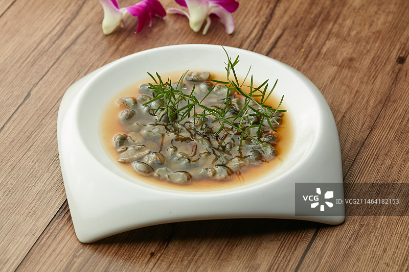 东海醉泥螺图片素材