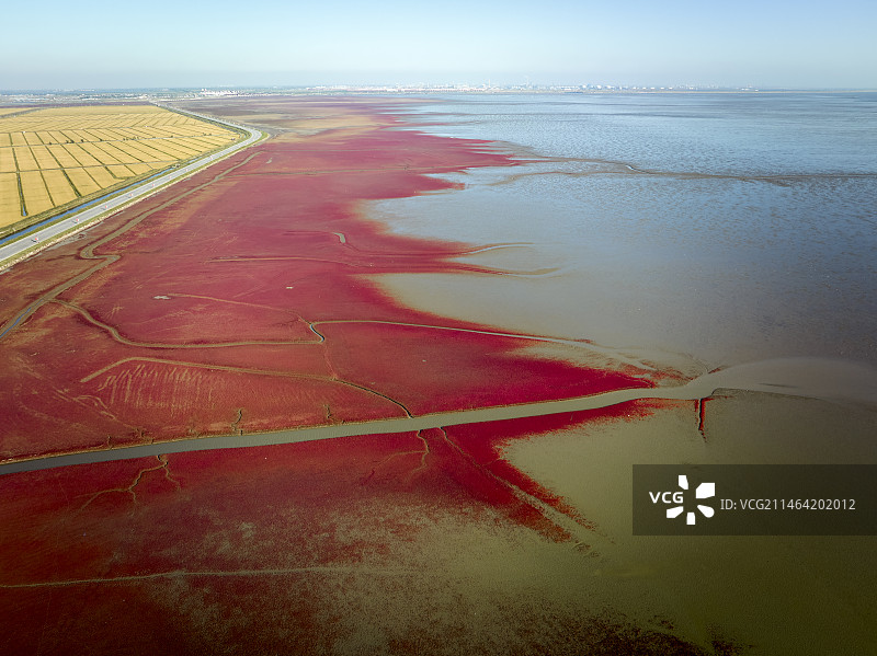 辽宁省盘锦市红海滩景区航拍图片图片素材