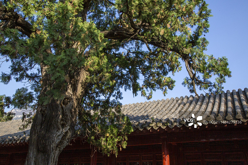 河南登封市嵩阳书院依旧建筑宏伟图片素材