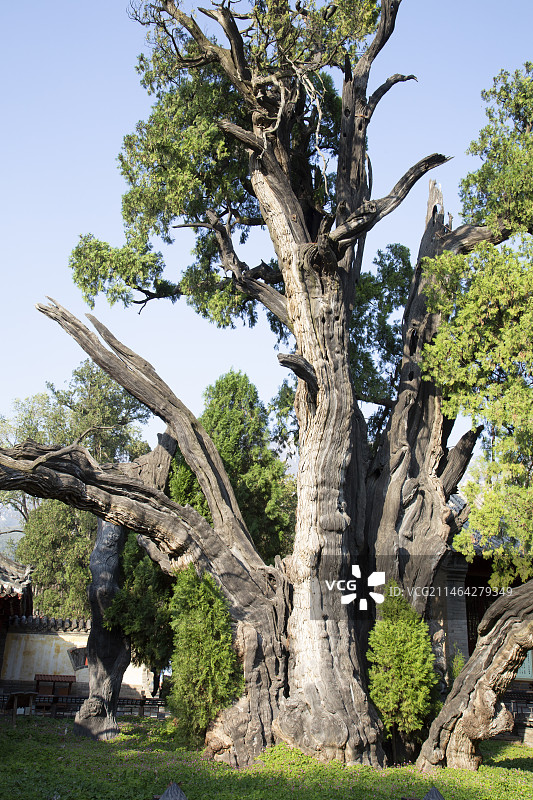河南登封市嵩阳书院依旧建筑宏伟图片素材