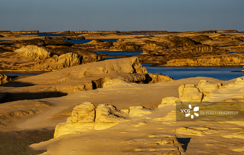 青海乌素特（水上）骓丹图片素材