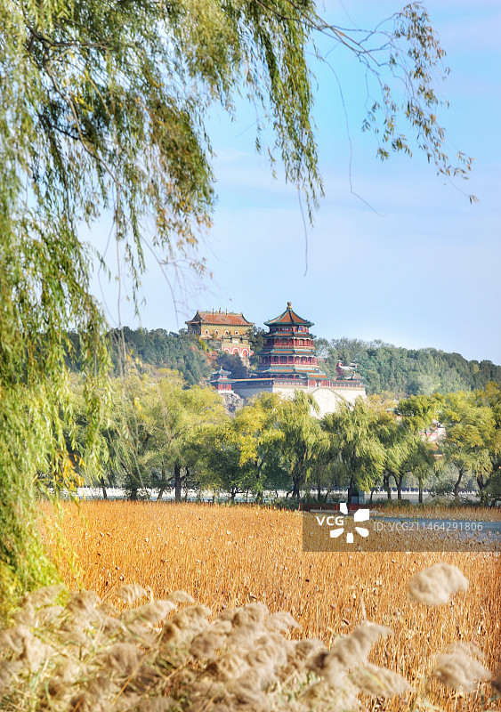 秋映万寿山图片素材