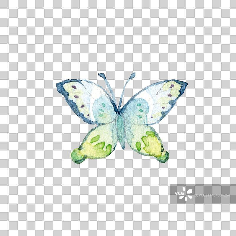 白色背景上的水彩手绘卡通彩色蝴蝶昆虫特写镜头图片素材