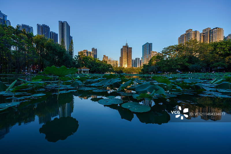 深圳罗湖洪湖公园水贝方向日落黄昏余晖光影图片素材