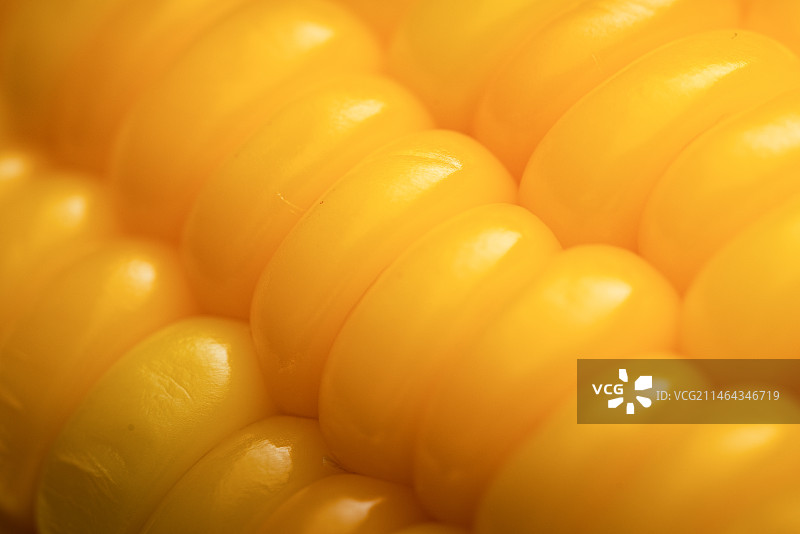 玉米特写图片素材