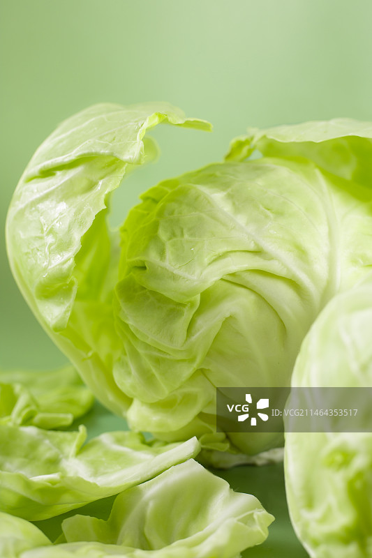 大头菜也叫包菜图片素材