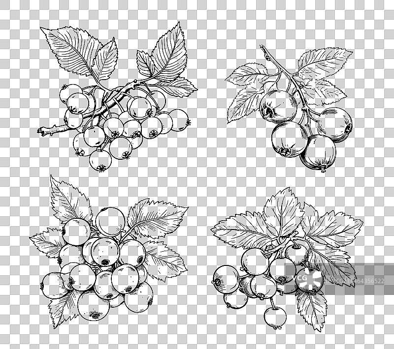 卡通风格手绘山楂果图片素材