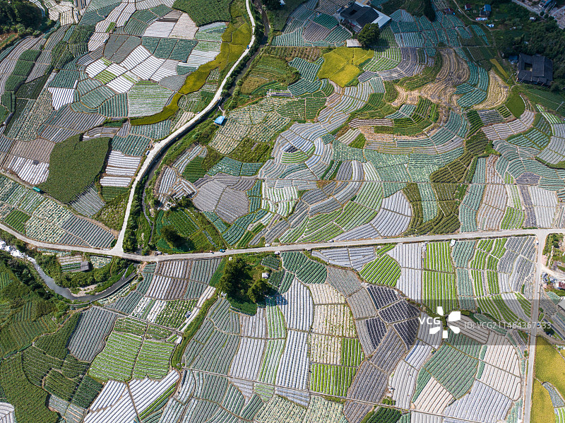 乡村与多彩的农田图片素材