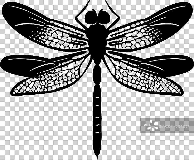 蜻蜓-简约扁平logo图片素材