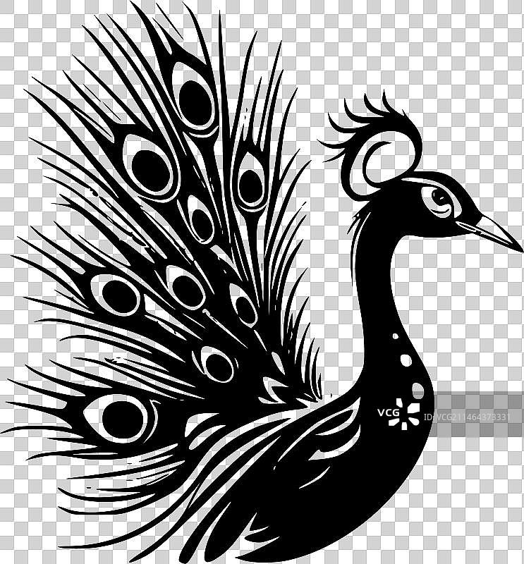 黑白孔雀隔离图标图片素材