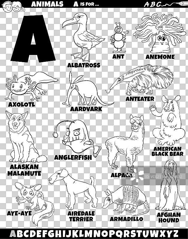 卡通动物教育字母表套装图片素材