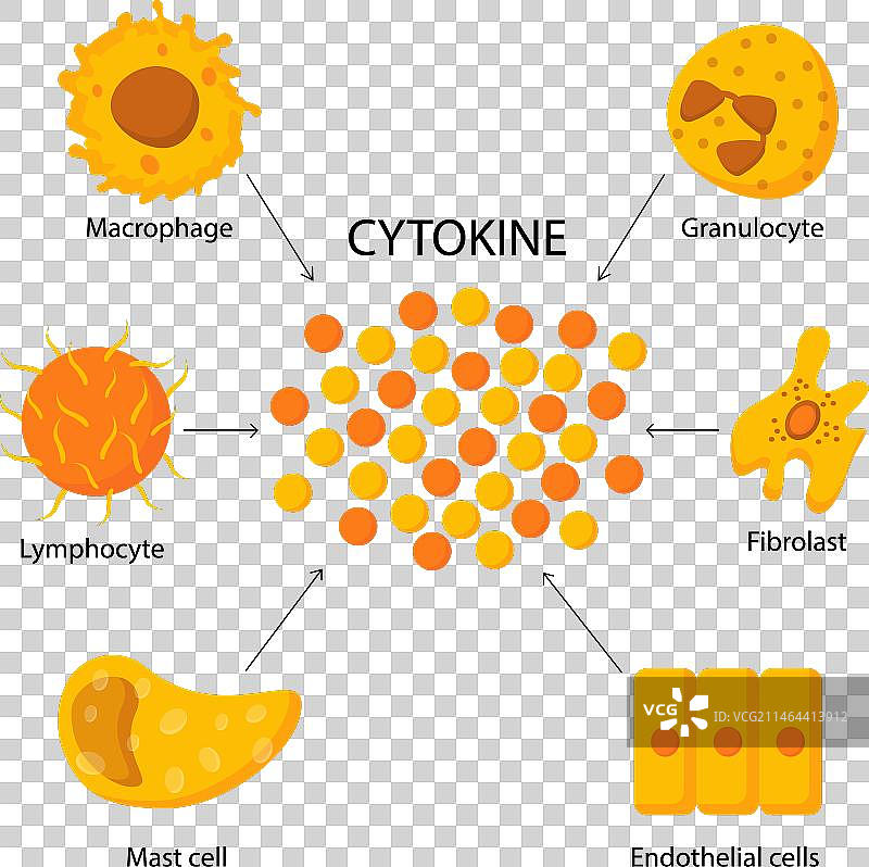 细胞因子结构概念图片素材