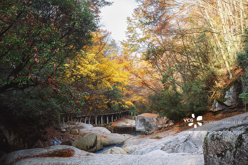 秋季光雾山十八月潭彩林下的一潭池水图片素材