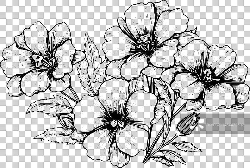 黑色孤立的秋英元素图片素材