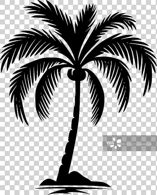 棕榈树扁平极简logo图片素材