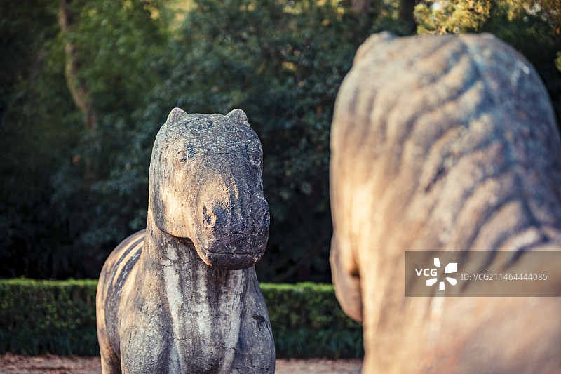 秋日南京明孝陵石象路石马图片素材
