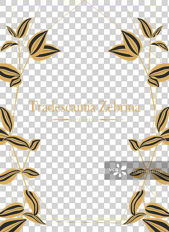 金色吊兰装饰的卡片模板图片素材