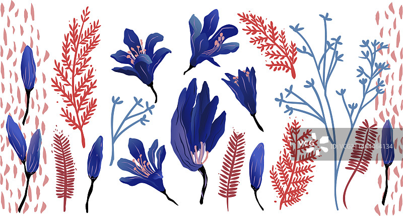 蓝色和红色花卉元素素材图片素材