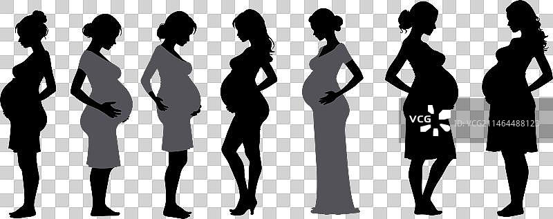 美丽的孕妇轮廓图片素材