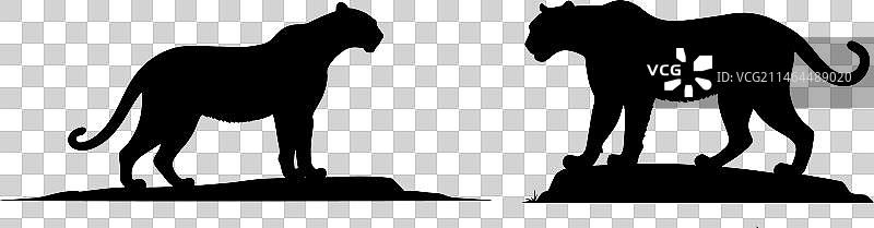 大型黑豹剪影图片素材