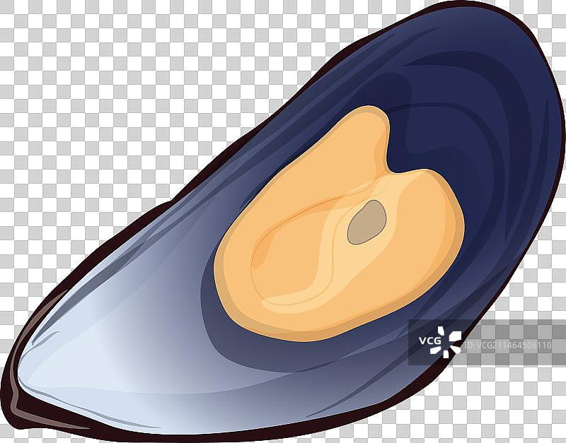 新鲜海虹图片素材