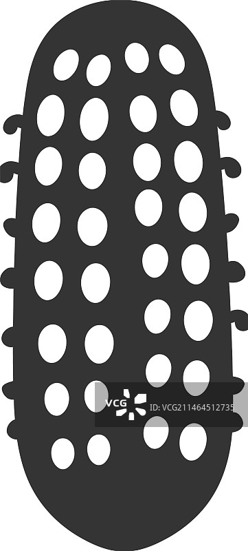 海参图标图片素材