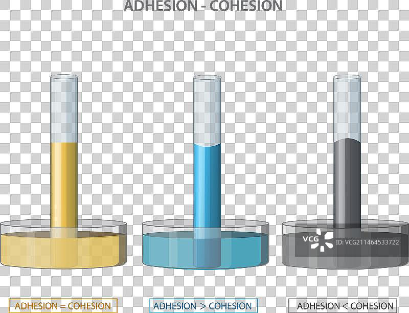 水的粘附力和内聚力及毛细作用图片素材