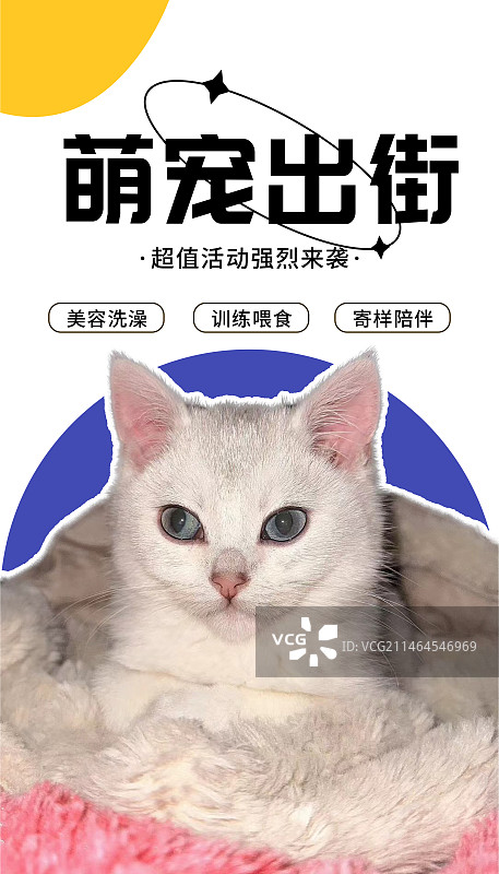 卡通可爱宠物海报图片素材