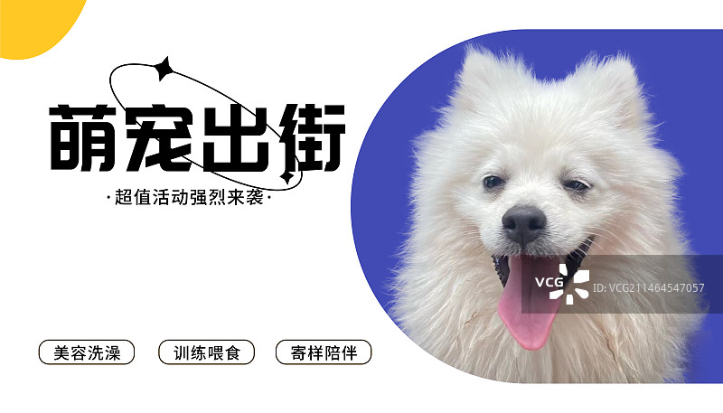卡通可爱宠物海报图片素材