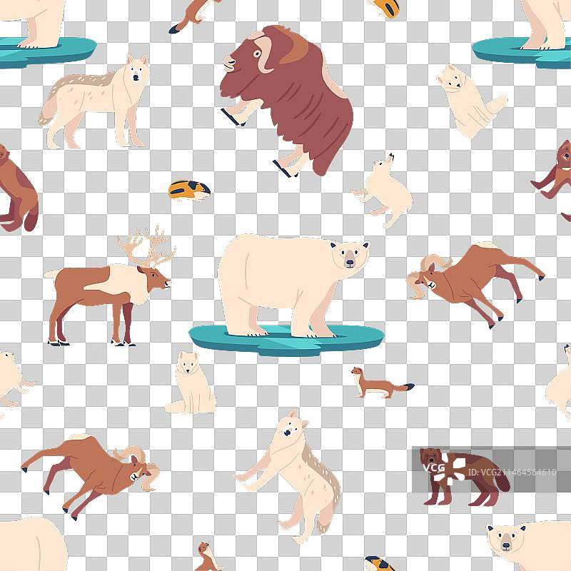 北极动物无缝图案：北极熊与狼图片素材