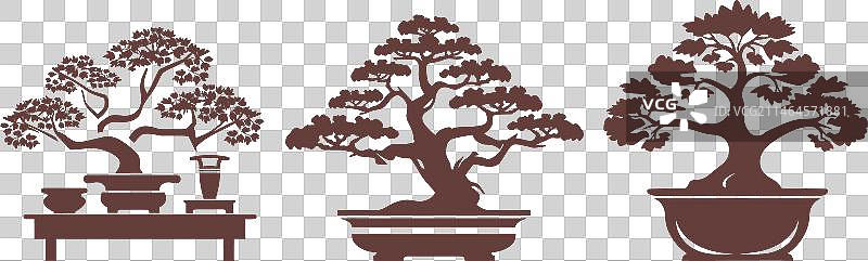 微型树图片素材