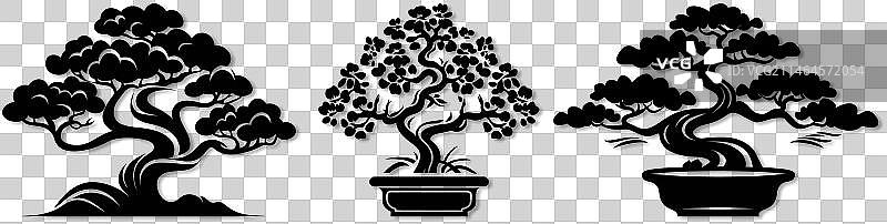 盆景树设计素材图片素材