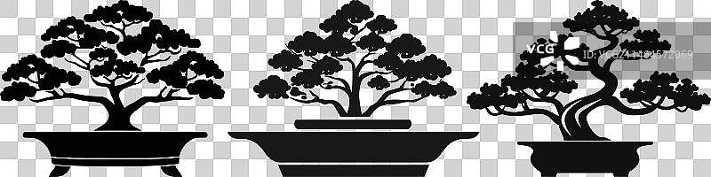 盆景艺术作品集图片素材