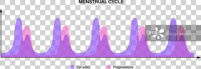 怀孕期间的激素图片素材