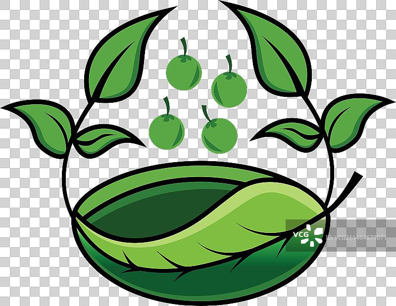 天然种植园logo植物水果篮绿色图片素材