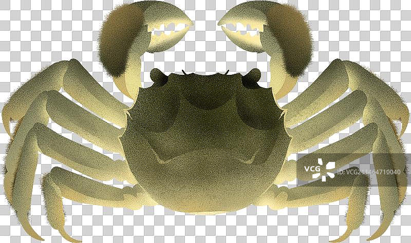 青蟹大闸蟹螃蟹噪点颗粒插画图片素材