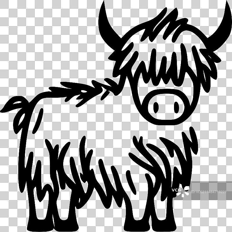 黑白相间的高地牛图片素材